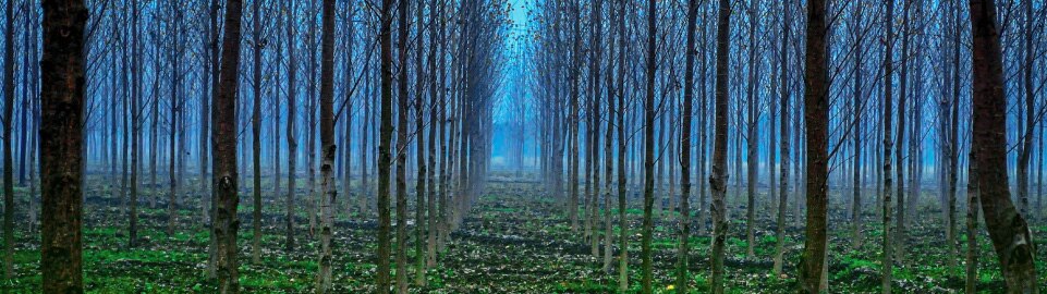 Flights to Pantnagar